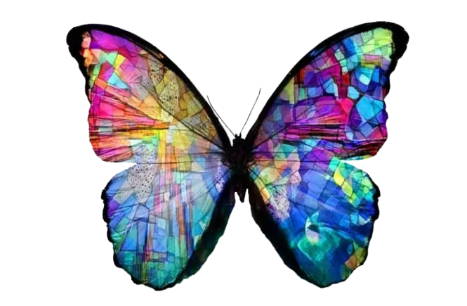 butterfly